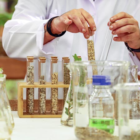 inhouse-lab1.jpg